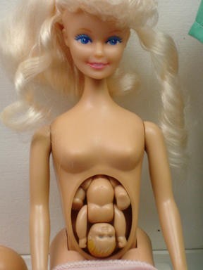 Image via http://en.wikipedia.org/wiki/File:Pregnant-doll.jpg